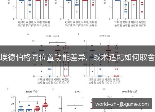 埃德伯格同位置功能差异,战术适配如何取舍 埃德伯格同位置功能差异,战术适配如何取舍